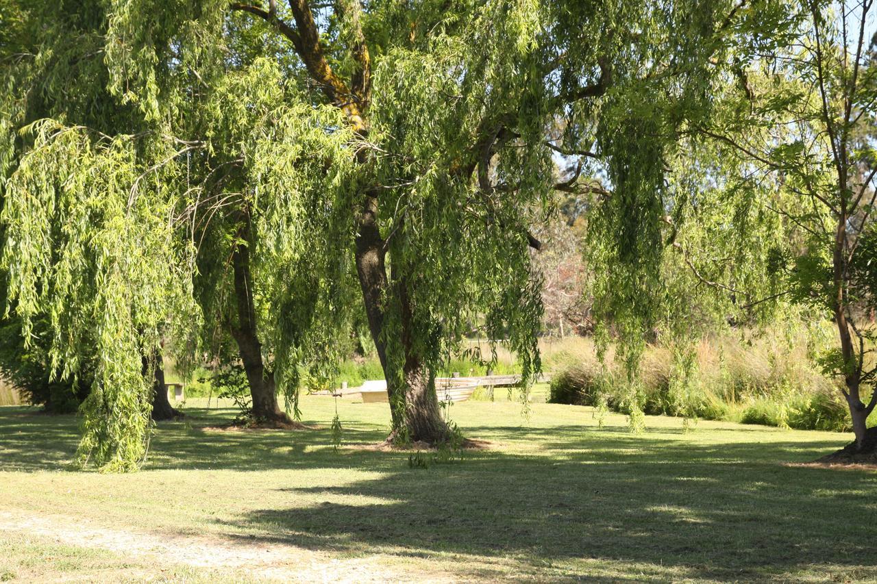 Little Lake Cottage Nyora Room photo
